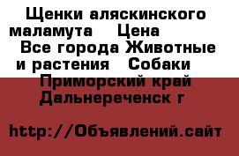 Щенки аляскинского маламута  › Цена ­ 15 000 - Все города Животные и растения » Собаки   . Приморский край,Дальнереченск г.